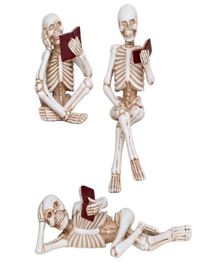Dawbun 3 Piece Halloween Indoor Decor Figurines Sitting Skeleton Statue Halloween Decorations mini Reading Skull Figurine Home Decor for Living Room Table Shelf Ornament - Image 1